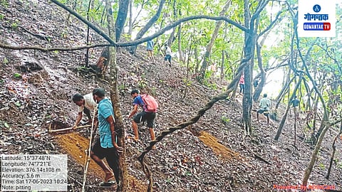 Goa Forest 