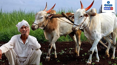 Agriculture sector in Goa 