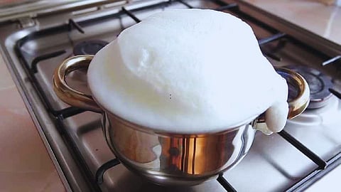 Milk