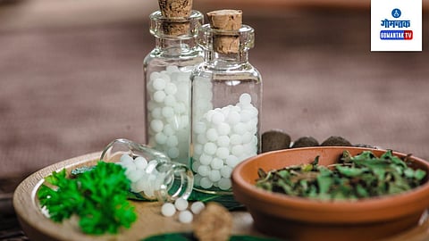 Homeopathy Medicines