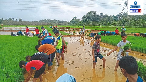 Farming 