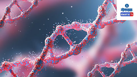 Genealogists of Indian Descent Vivek Bajpai Have Discovered 135 New Genes Related To Skin Color.