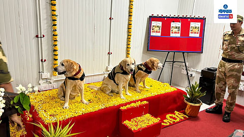 3 Soldiers TAKSHAK , S.HERO, TIGER retired from duty From CISF