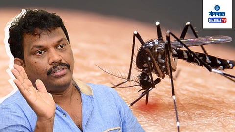 Dengue Patients in Goa