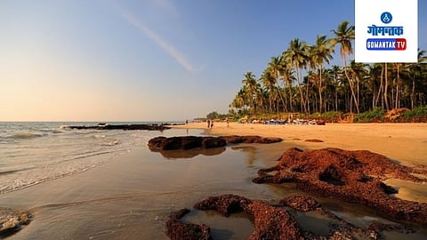 Morjim Beach