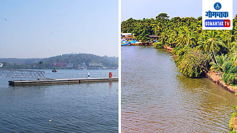 Goa River 