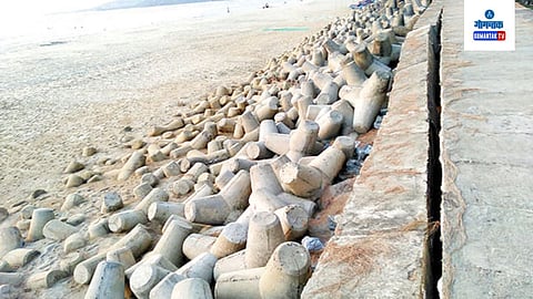 Keri Beach, Tetrapod 