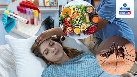 Dengue Diet