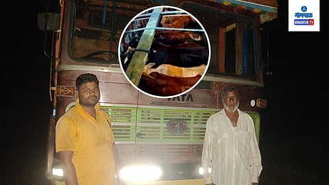Illegal Cattle transport In Sindhudurg