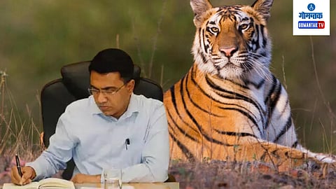 Goa Tiger Reserve