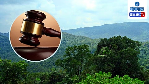 SC Notice To Goa Foundation