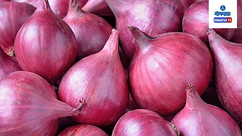 Onion Market Price In Goa