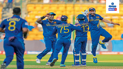 Srilankan Player