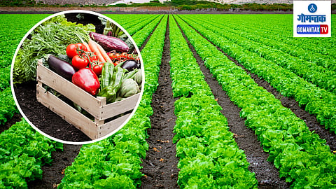 Goa Agriculture Policy