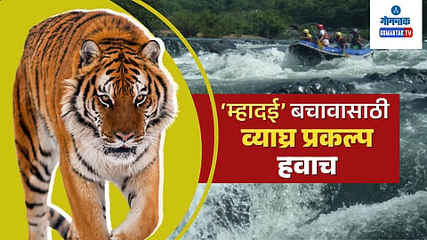 Project Tiger Goa