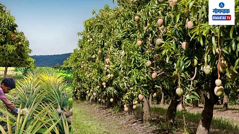 Agriculture in Goa