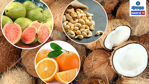 Goa Haryana Fruit Trade