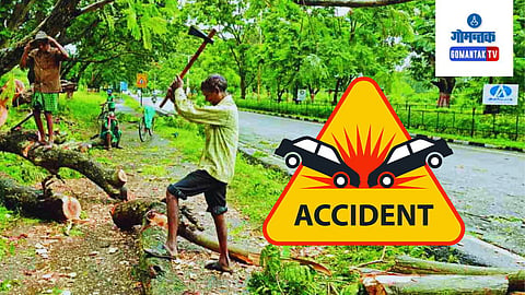 Dangerous Tree