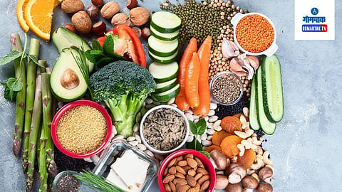 Protein Diet