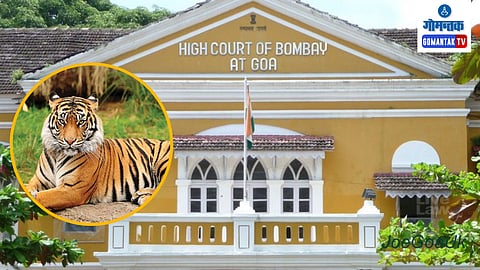 Goa High Court 