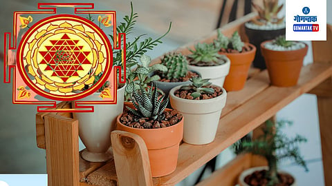 Vastu Tips