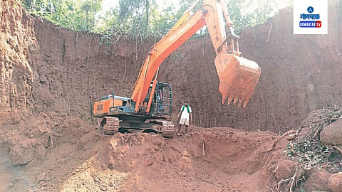 Illegal Mountain Harvesting 
