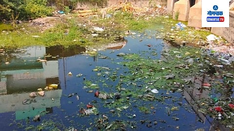 Sewage Water Issue