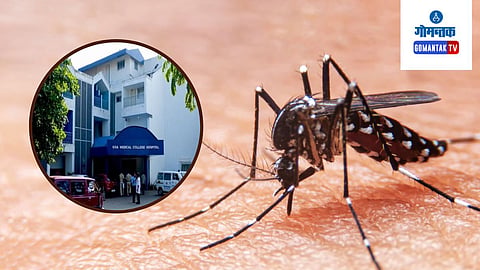 Dengue Deaths in Goa