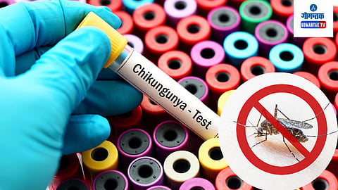 Chikungunya Virus|Ixchiq Vaccine