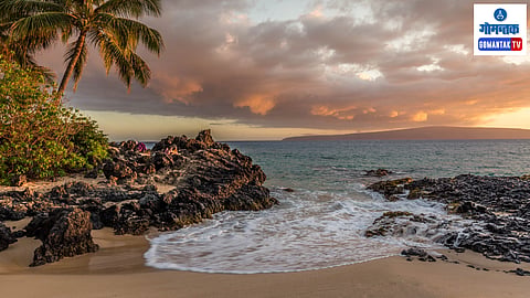 Butterfly Beach 