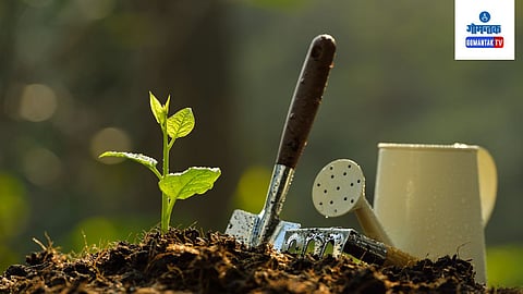 Planting
