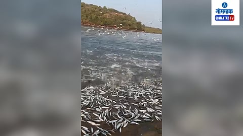 Terekhol River