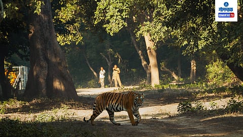 Goa Wildlife