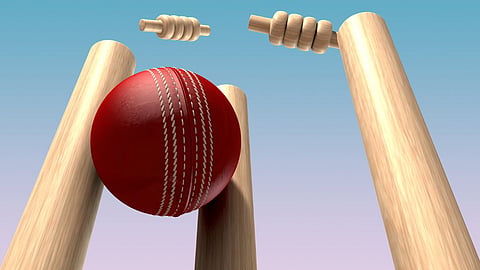 Cricket