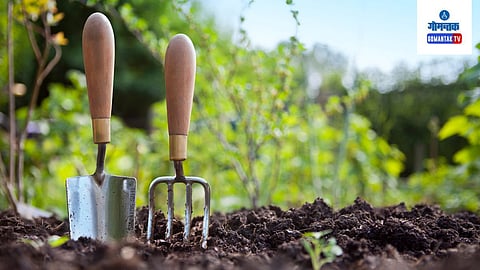 Gardening Tips