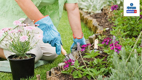 Gardening Hacks