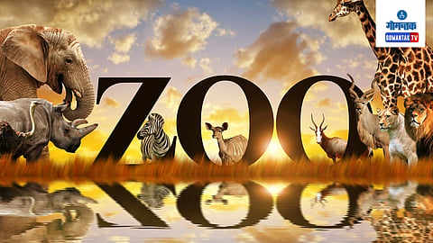 Zoo In Goa: