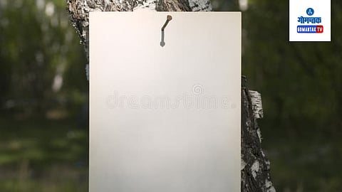 Billboards nailed to trees