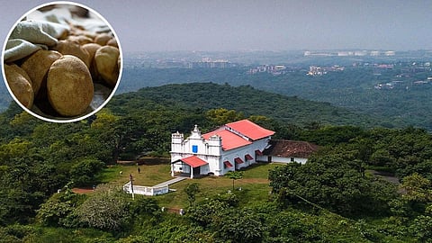 Postcards from Goa | National Geographic channel 