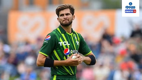 Shaheen Shah