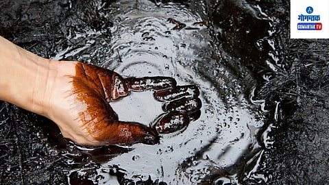 New oil reserves found in the country