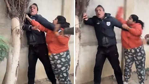 Fight over Dog again in Noida, woman beats up man video goes viral.