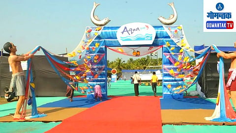 Fish Festival
