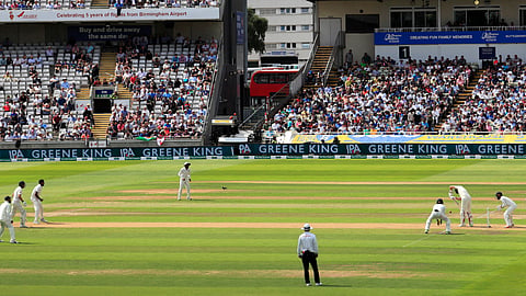 Cricket