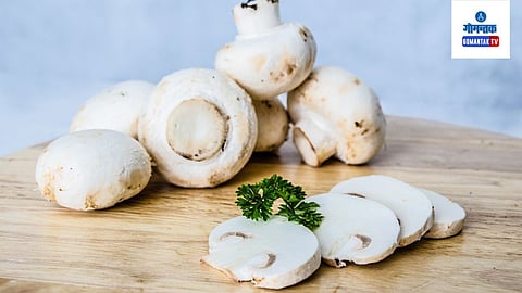 Mushroom Cooking Tips