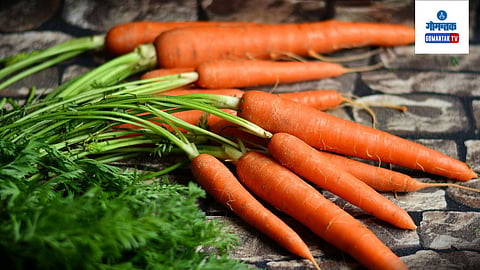 Gajar Peel Uses