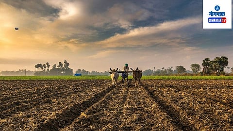 Goa farming