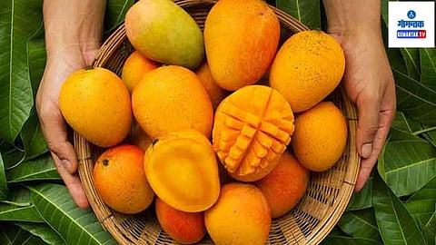 Goa  Mango