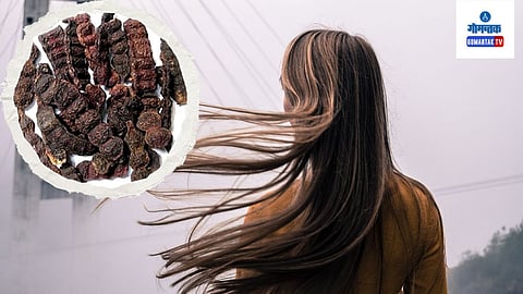 Shikakai Hair Masks