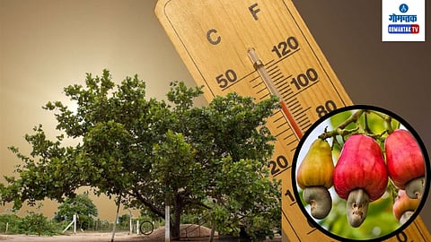 Weather Forecast